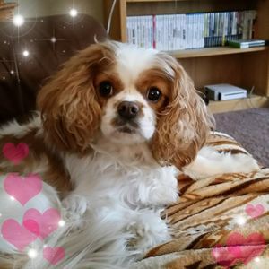 Meet your Posher, Annette